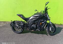 Benelli 502 C (2019 - 20) usata