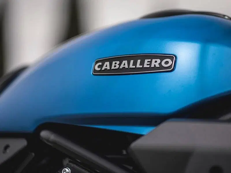 Fantic Motor Caballero 700 Scrambler (2025 - 26) (3)