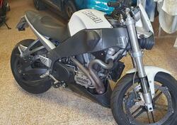 Buell Lightning XB 12S usata