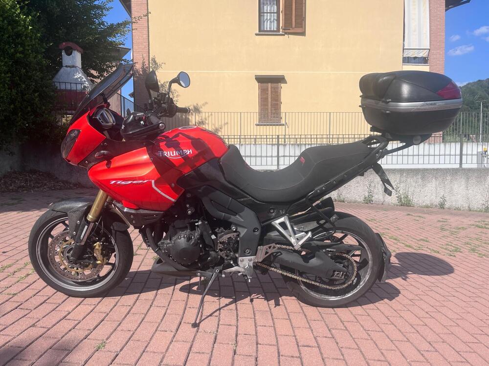 Triumph Tiger 1050 SE ABS (2006 - 13) (3)