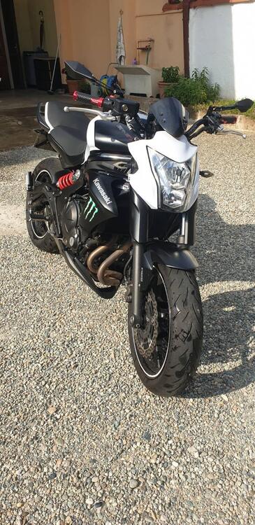 Kawasaki ER-6N ABS (2012 - 16) (2)