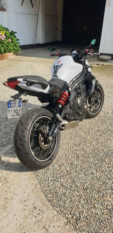 Kawasaki ER-6N ABS (2012 - 16) (4)