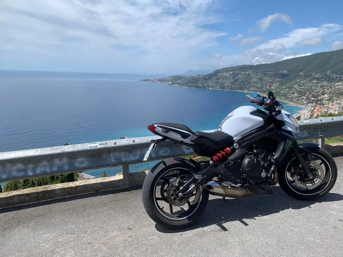 Kawasaki ER-6N ABS (2012 - 16) (8)