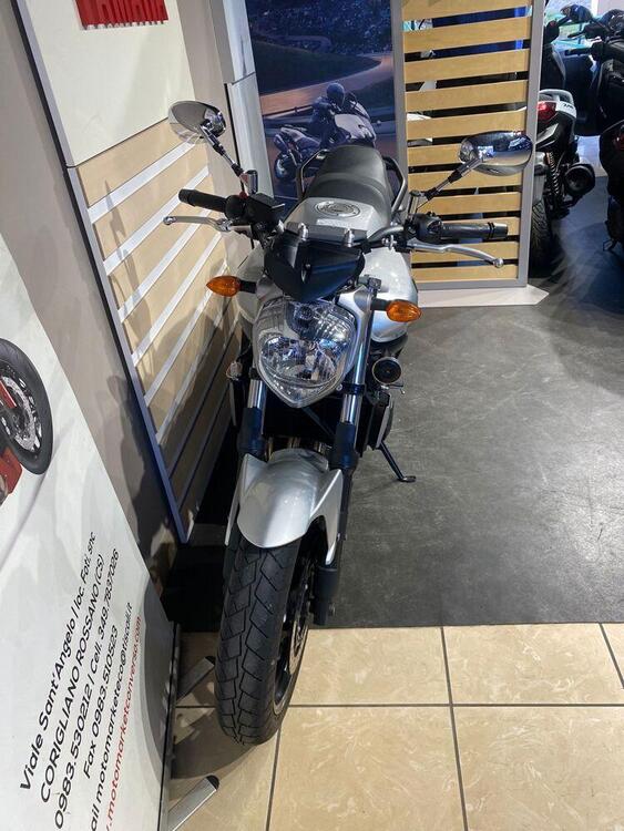 Yamaha FZ6 S2 (2007 - 11) (5)