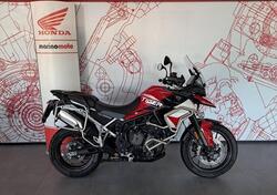 Triumph Tiger 900 GT Aragón Edition (2023 - 24) usata