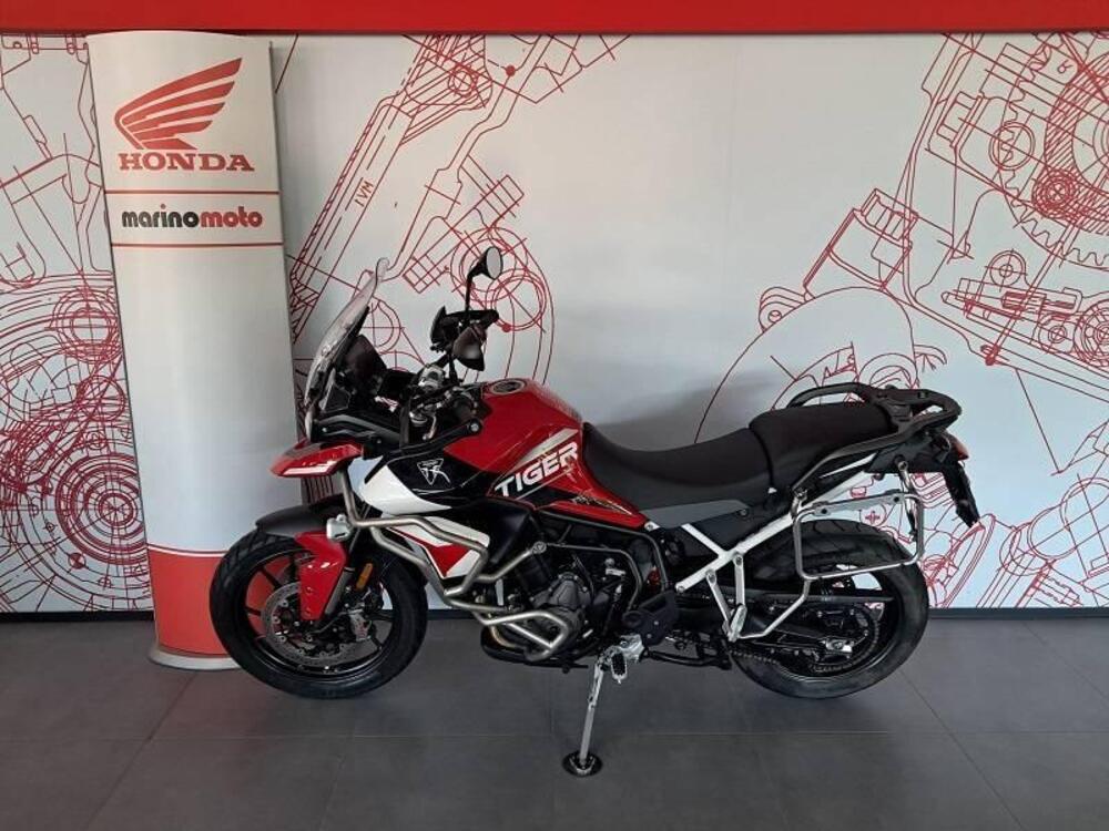 Triumph Tiger 900 GT Aragón Edition (2023 - 24) (2)