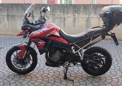 Triumph Tiger 900 GT (2020 - 23) usata