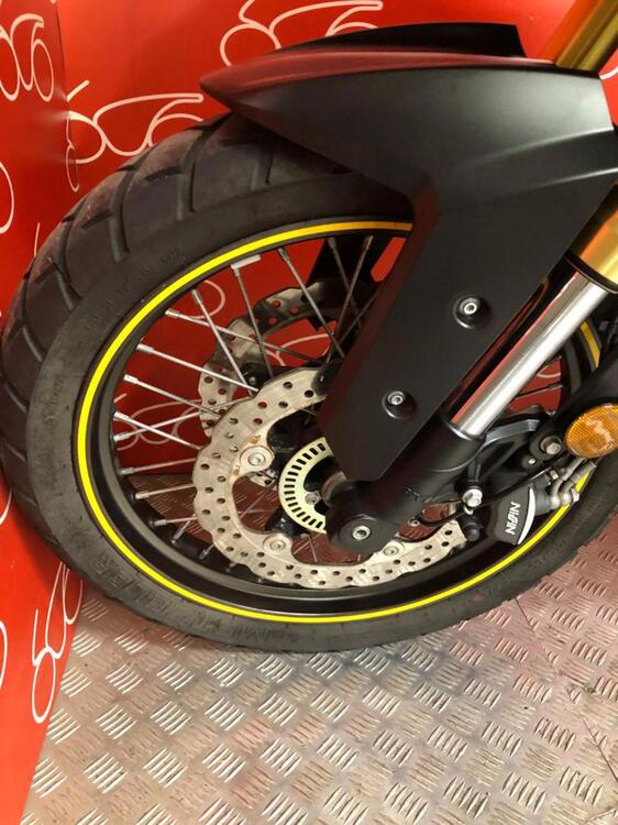 Voge Valico 525DSX (2023 - 25) (5)