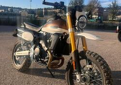 Fantic Motor Caballero 500 Explorer (2024) usata