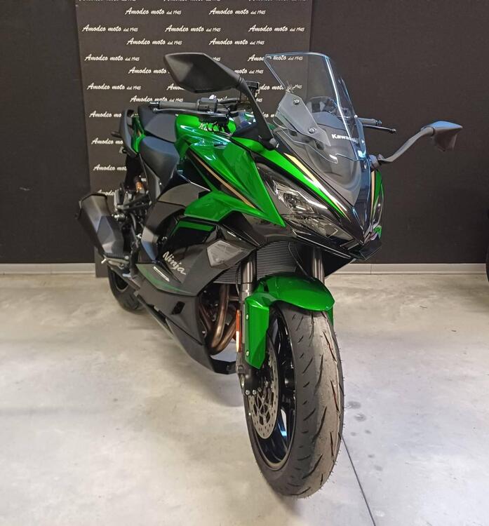 Kawasaki Ninja 1100 SX SE (2025 - 26) (3)
