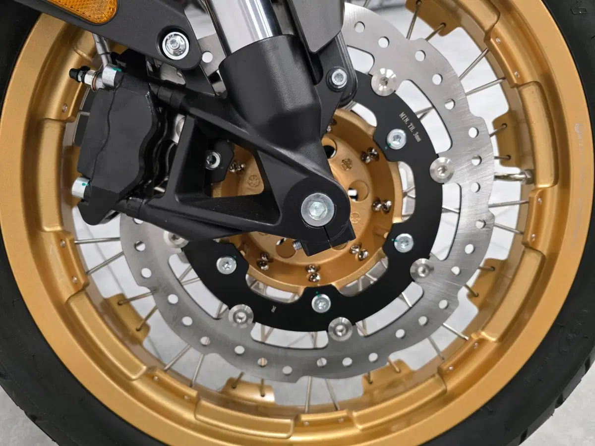 Cyclone RX600 (2025 - 26) (8)