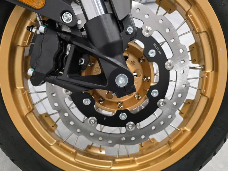 Cyclone RX600 (2025 - 26) (8)