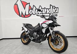 Cyclone RX600 (2025) usata