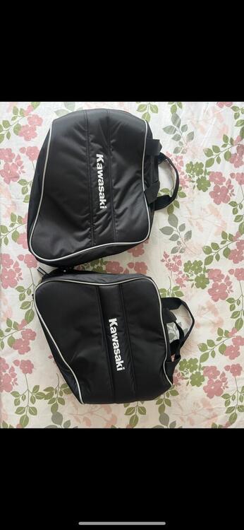 Kawasaki Versys 650 (2021 - 24) (3)