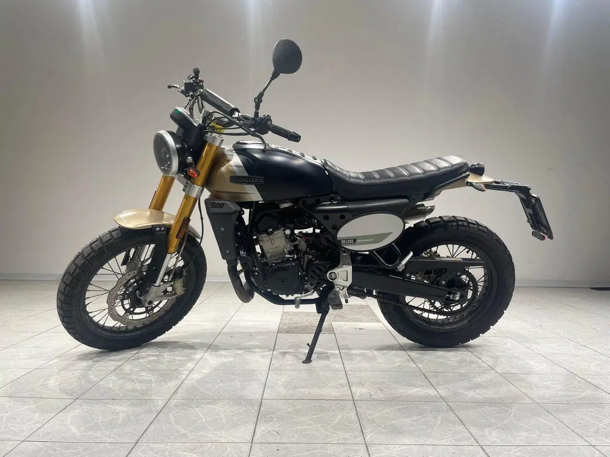Fantic Motor Caballero 500 Scrambler Deluxe (2021 - 23) (2)