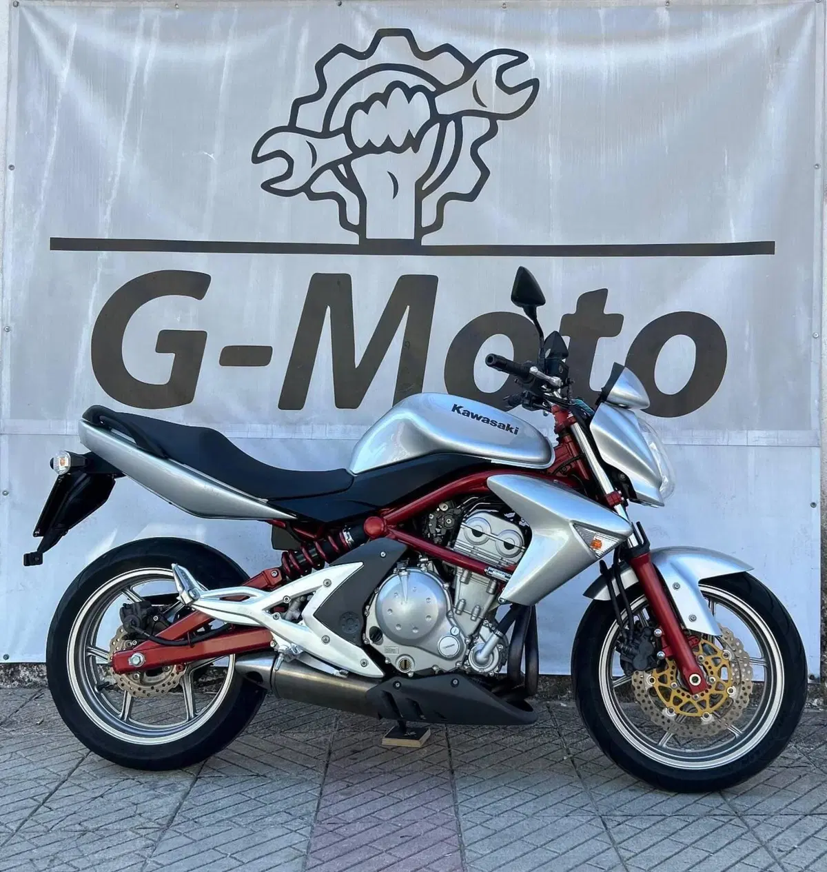 Kawasaki ER-6N (2005 - 08) (4)