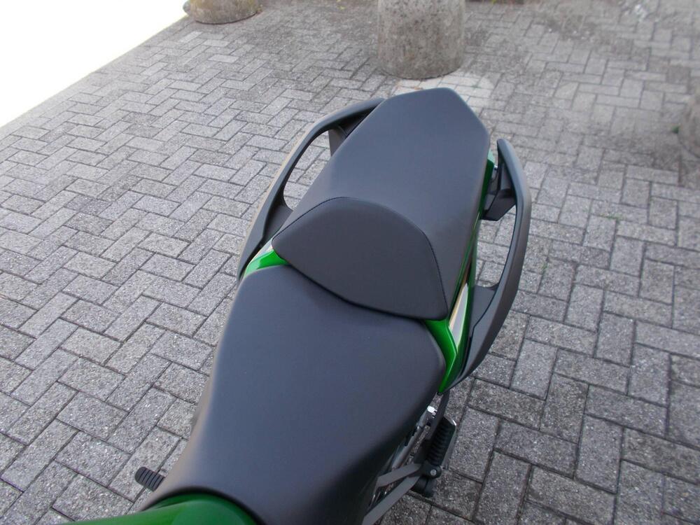 Kawasaki Ninja 1100 SX SE (2025 - 26) (4)