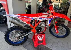 Betamotor RX 450 4T (2026) nuova