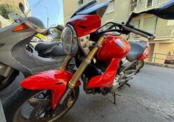 Honda Hornet 600 (2005 - 06) usata