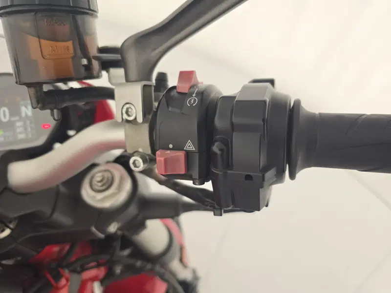Ducati Monster 1200 S (2017 - 21) (8)