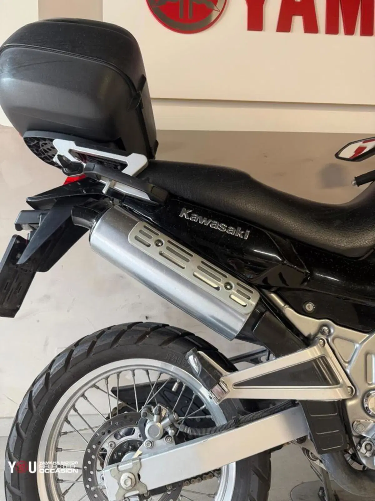Kawasaki KLE 500 (2001 - 04) (10)
