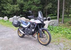 Honda Transalp XL750 (2023 - 24) usata