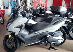 Honda Forza 350 (2022 - 24) usata