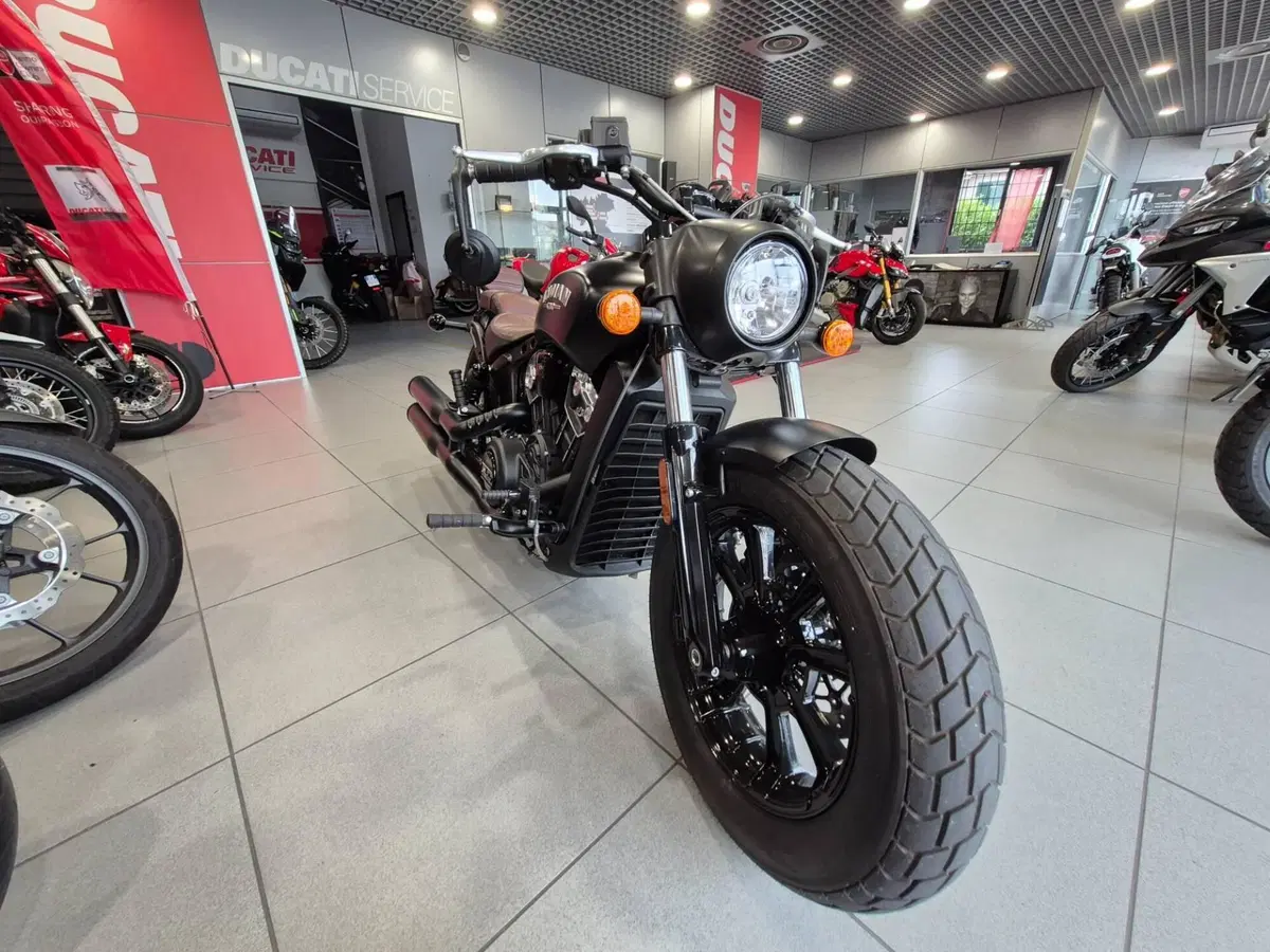 Indian Scout 1133 Bobber (2021 - 25) (2)