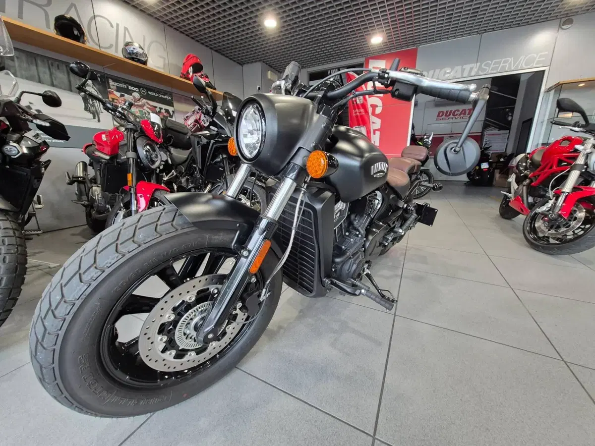 Indian Scout 1133 Bobber (2021 - 25) (3)