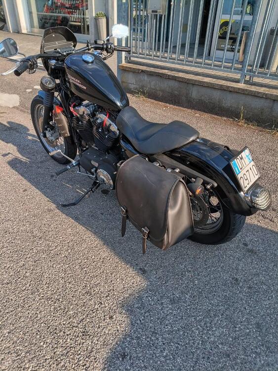 Harley-Davidson 883 (2008 - 09) - XL (3)