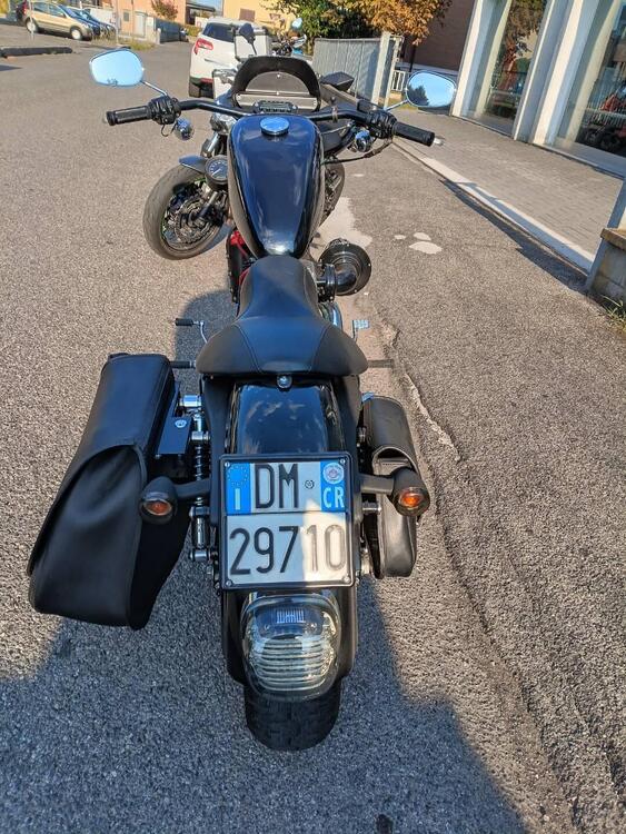 Harley-Davidson 883 (2008 - 09) - XL (4)