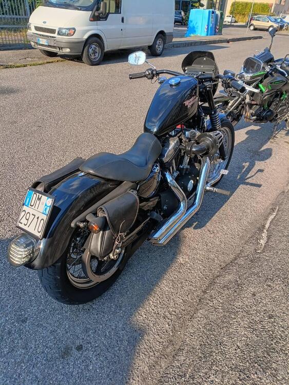 Harley-Davidson 883 (2008 - 09) - XL (5)