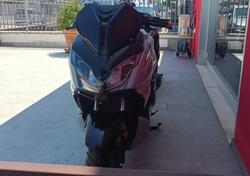 QJ Motor MTX 300 (2025) nuova