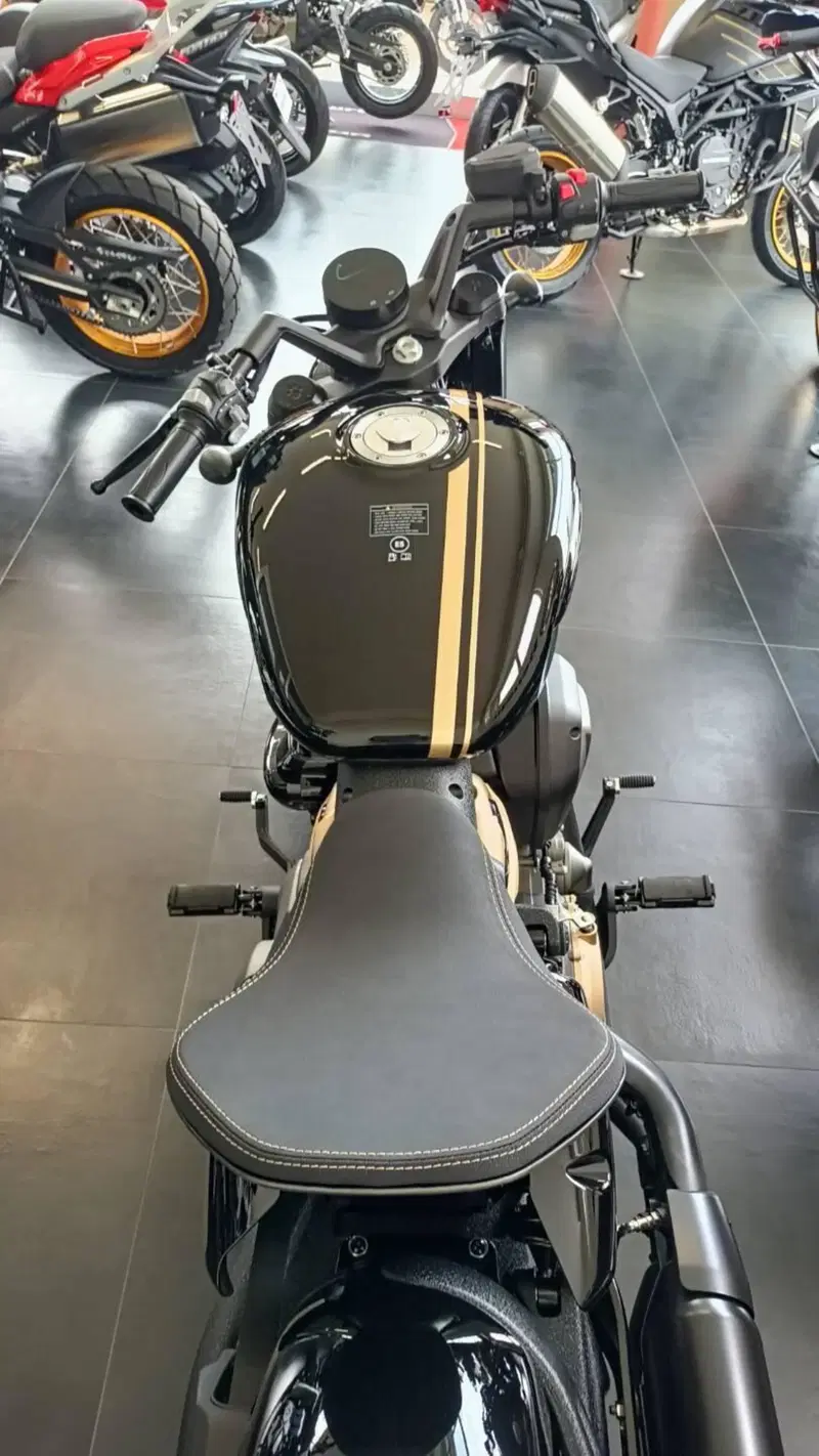Benda Motorcycles Napoleon Bob 500 (2024 - 26) (6)
