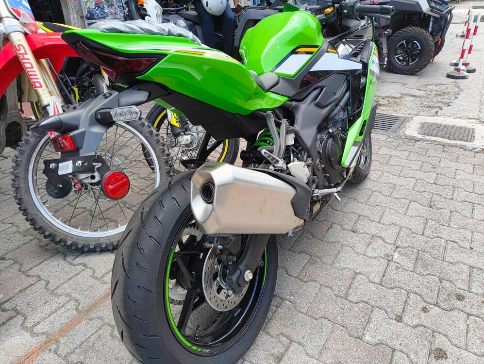 Kawasaki Ninja ZX-4RR (2024 - 26) (4)