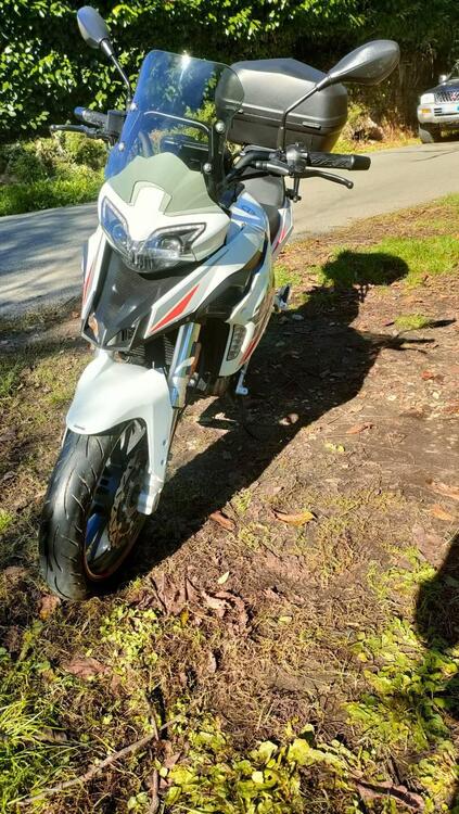 Benelli TRK 251 (2022 - 25) (2)