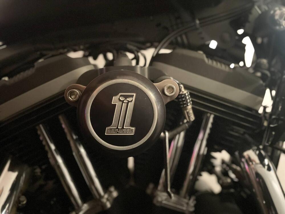 Harley-Davidson 883 Iron (2012 - 14) - XL 883N (5)