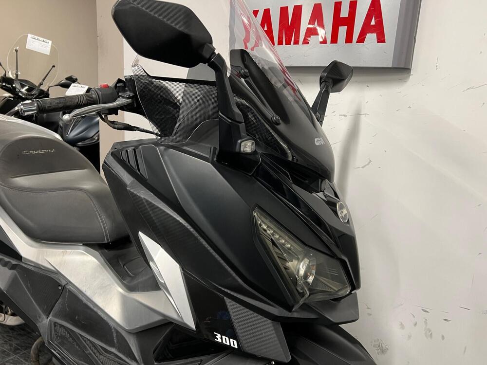 Sym Cruisym 300 (2017 - 20) (2)