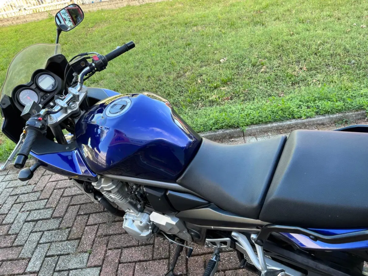 Suzuki GSF 650 Bandit S (2006 - 12) (11)