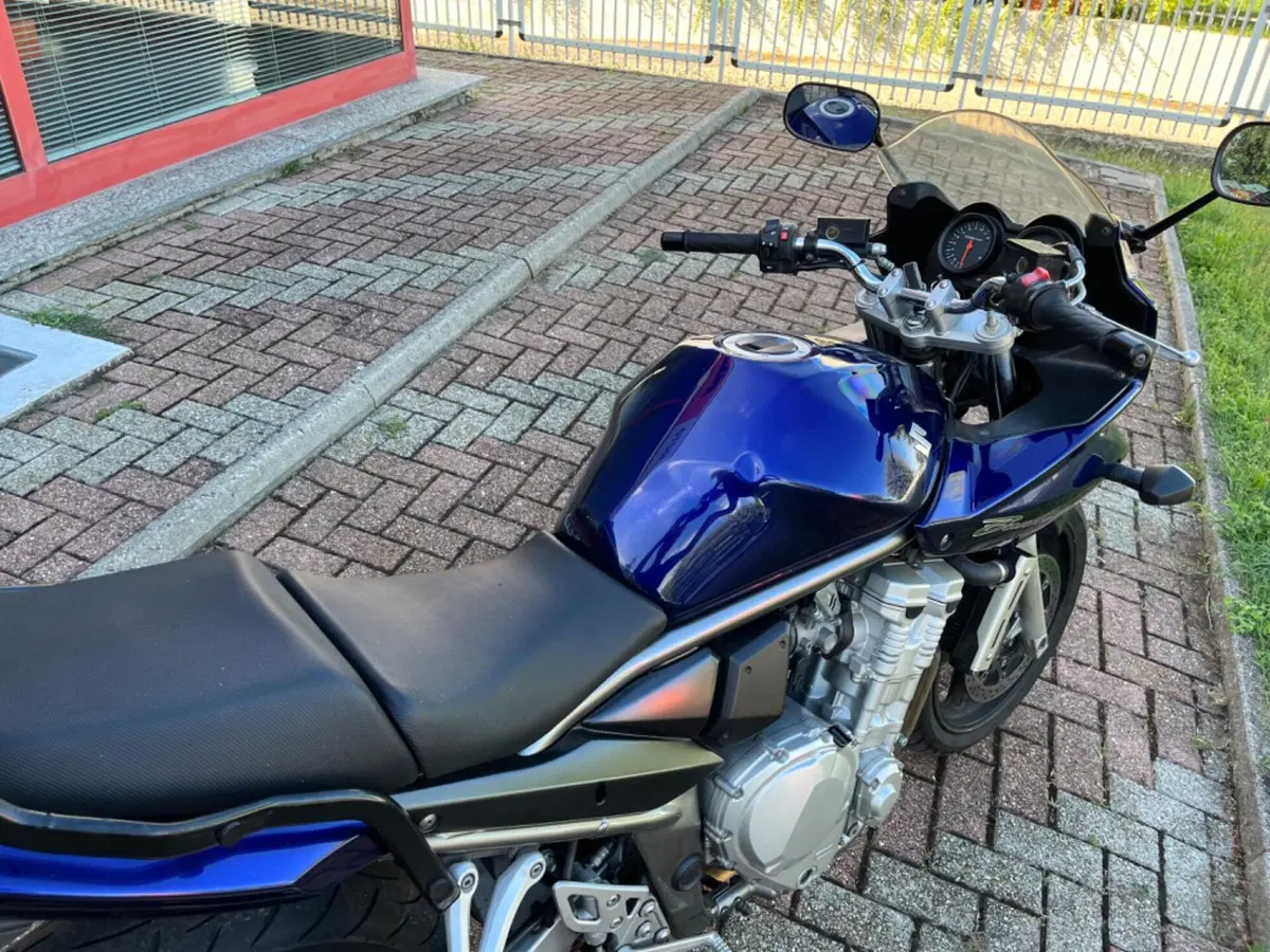 Suzuki GSF 650 Bandit S (2006 - 12) (14)