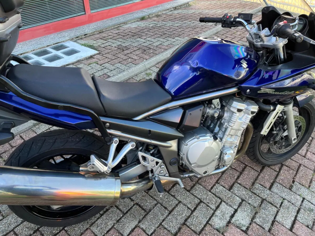 Suzuki GSF 650 Bandit S (2006 - 12) (15)