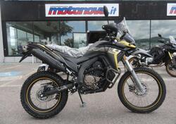 Voge Valico 300 Rally (2022 - 25) nuova