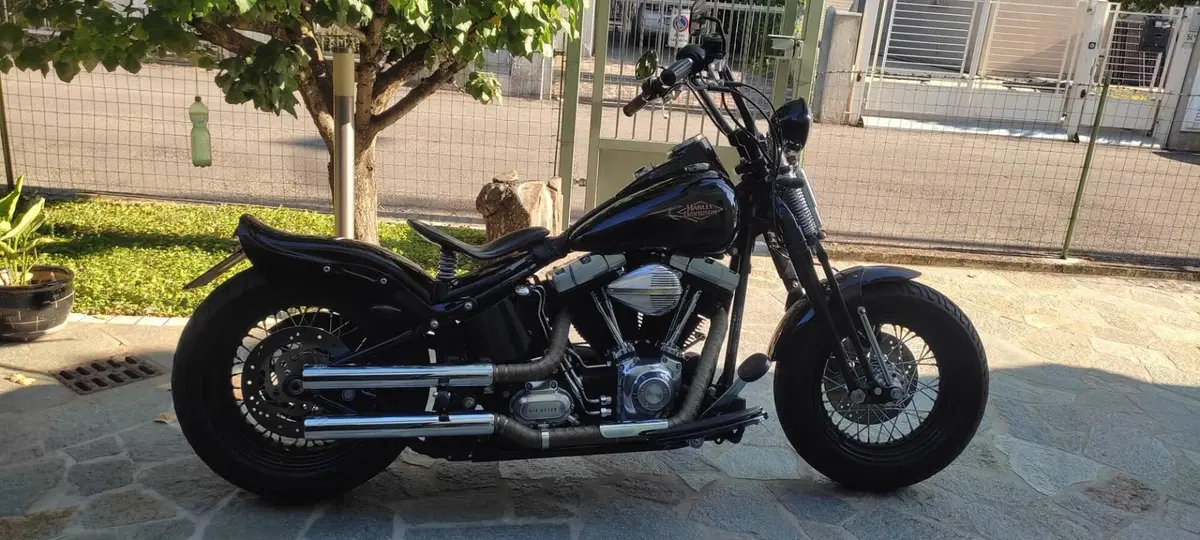 Harley-Davidson 1584 Cross Bones (2008 - 11) - FLSTSB (2)