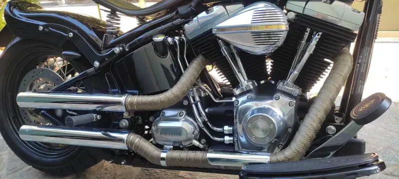 Harley-Davidson 1584 Cross Bones (2008 - 11) - FLSTSB (6)