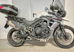 Triumph Tiger 800 XC (2015 - 17) usata
