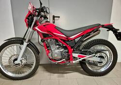 Betamotor Alp 200 (2021 - 25) usata