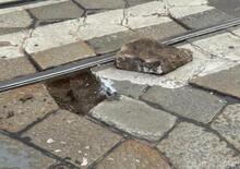 Sicurezza in città: Milano da settembre inizia a togliere il pavè