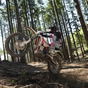 Enduro nei boschi: tra passione e rispetto, non servono sanzioni a tappeto. Un solo denunciato su 322 controlli