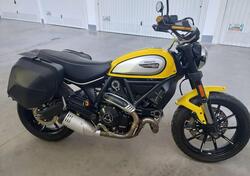 Ducati Scrambler 800 Icon (2017 - 20) usata