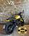 Ducati Scrambler 800 Full Throttle (2015 - 16) (8)
